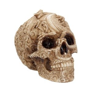 Cranial Drakos Skull 19.5cm Ne…