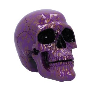 Violet Elegance Skull 18.5cm N…