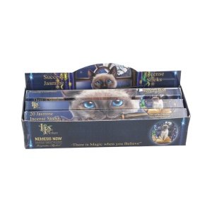 Lisa Parker Success Incense St…